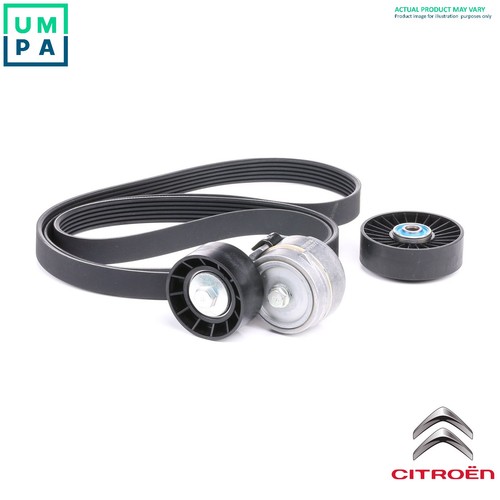 Genuine vribbed belt - genuine, set
