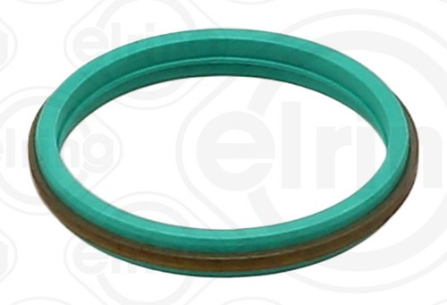 Cylinder head cover gasket - cylinder,