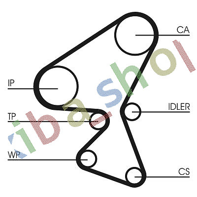 Timing belt fits ds - belt,