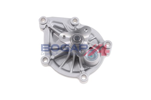 B4234132 bogap water pump - water,