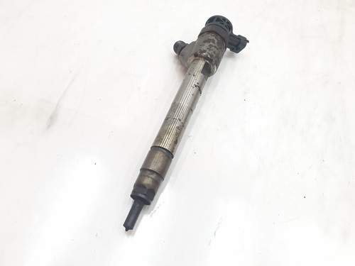 9828959880 injector 2432018
