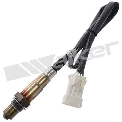 Walker oxygen sensor 550mm - oxygen,