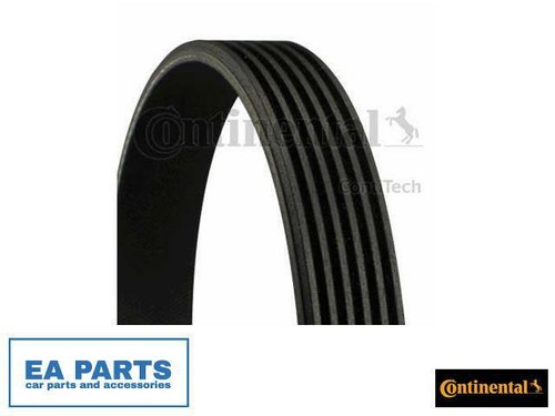 Ribbed belts for mini - mini, r55