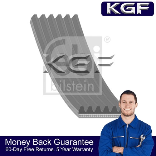 Kgf ribbed drive belt fits - kgf,